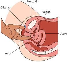 MASAJES VAGINALES PELVICOUTERINOS GINECOLOGICOS Y TANTRICOS