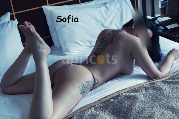 SOFIA, CARIBEÑA FIESTERA… 691836718