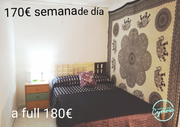 En Castellón 28 de agosto disponible desde 170 € semana