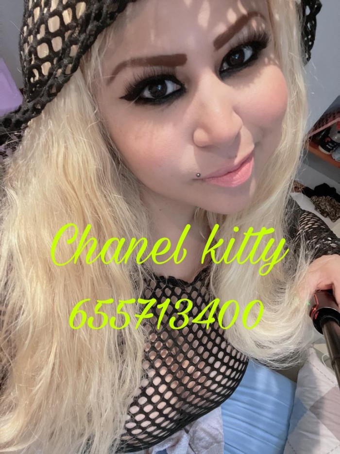 Chanel kitty