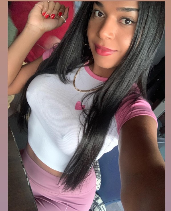 SUPER NOVEDAD TRANS DOMINICANA DE LUJO