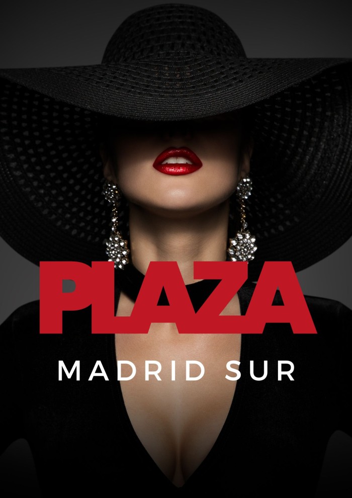 PLAZAS DISPONIBLES ALTOS INGRESOS MADRID SUR