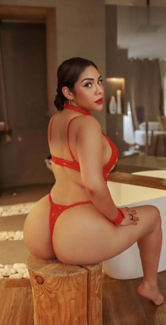 Novedad Hermosa Latina