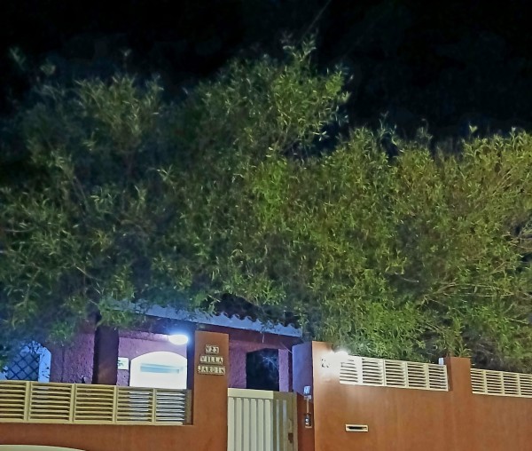 De nuevo el chalet del jardin en aguadulce