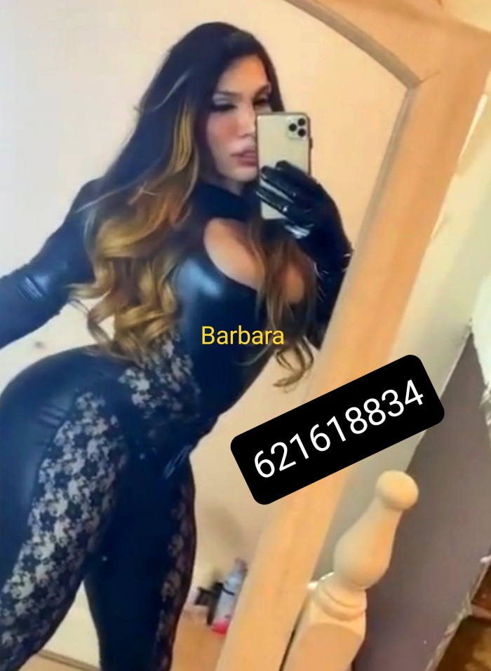 Trans Barbara pibonazo alta cara de zorrita