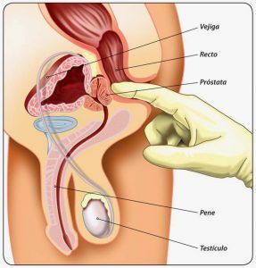 Masajista erotico y rellenito al desnudo