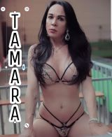 TRANS TAMARA BRASILEÑA