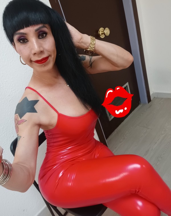 Hermosa morocha trans experta en principiantes