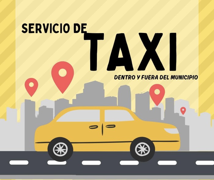 Taxi, conductor privado Elche