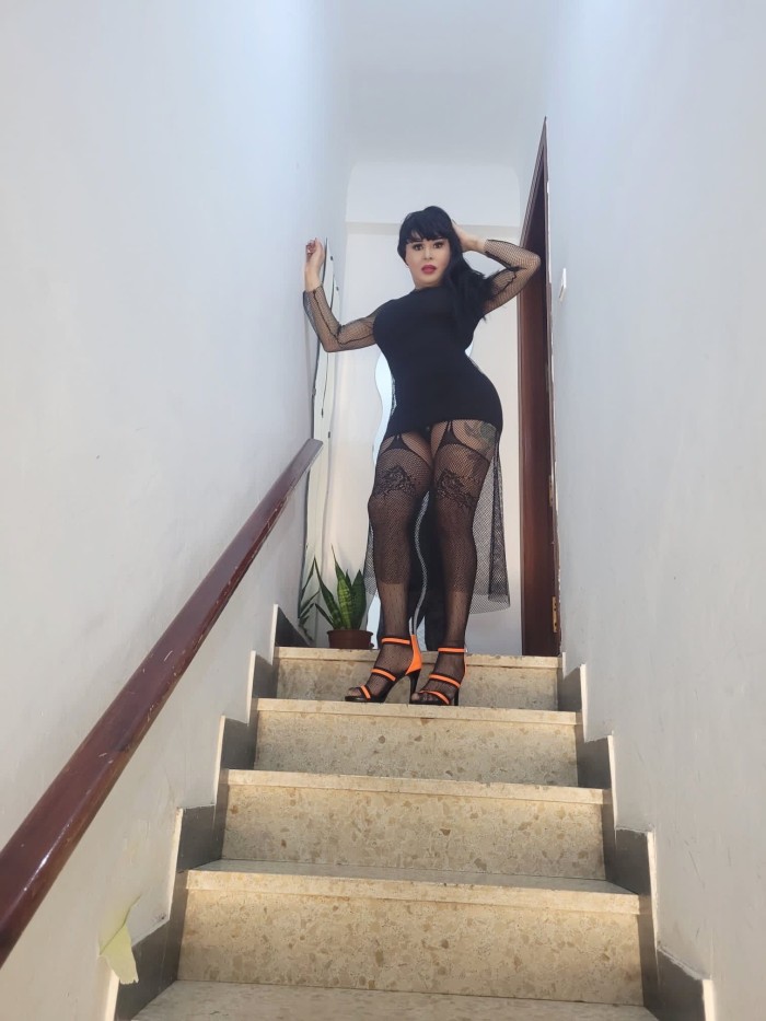 Chica trans colombiana caliente cachonda