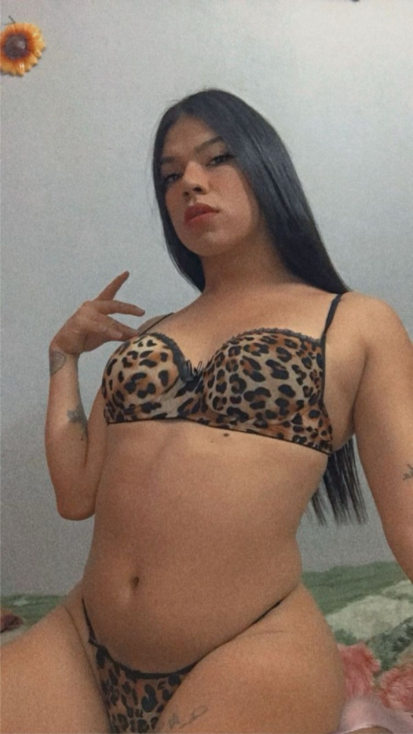 Trans brasileña