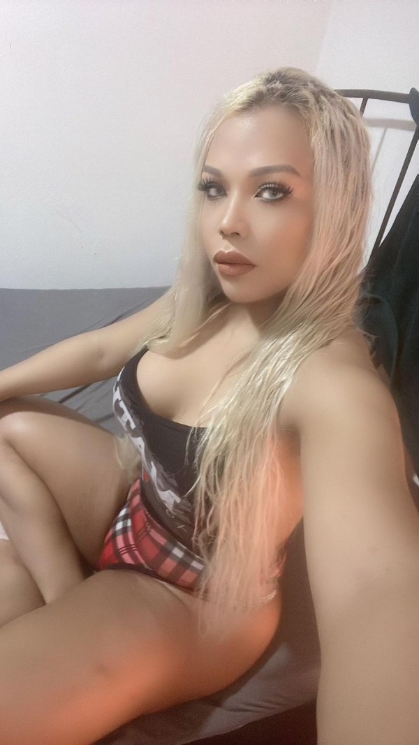 POTENTE TRAVESTI CAÑERA DOTADA XXL