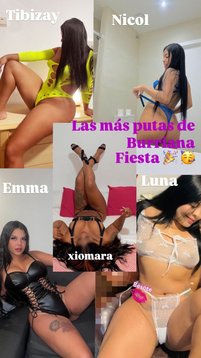 Unas gatitas salvajes que te encantaran…