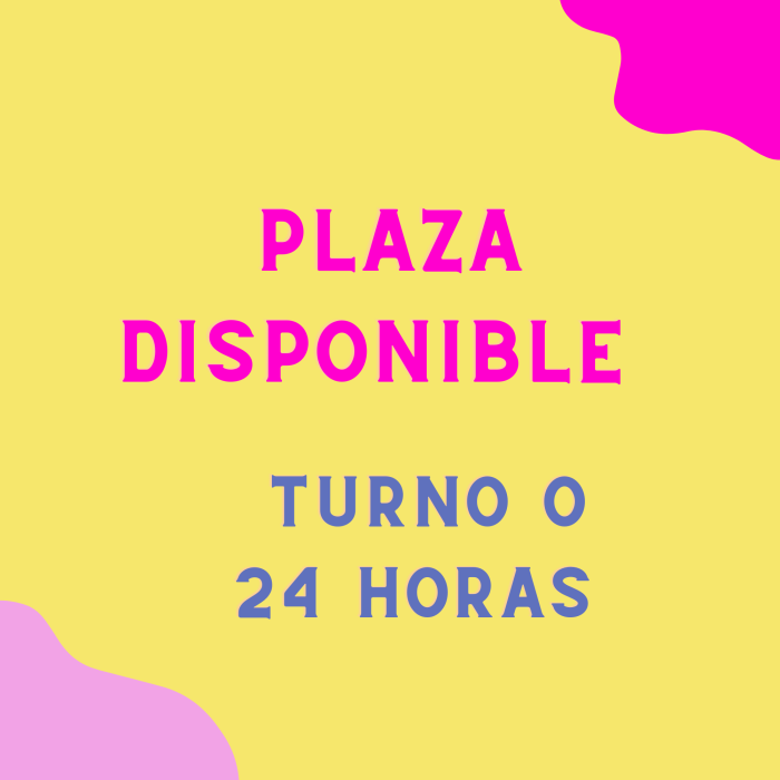 PLAZA DISPONIBLE TRATO FAMILIAR TURNO O 24 HORAS