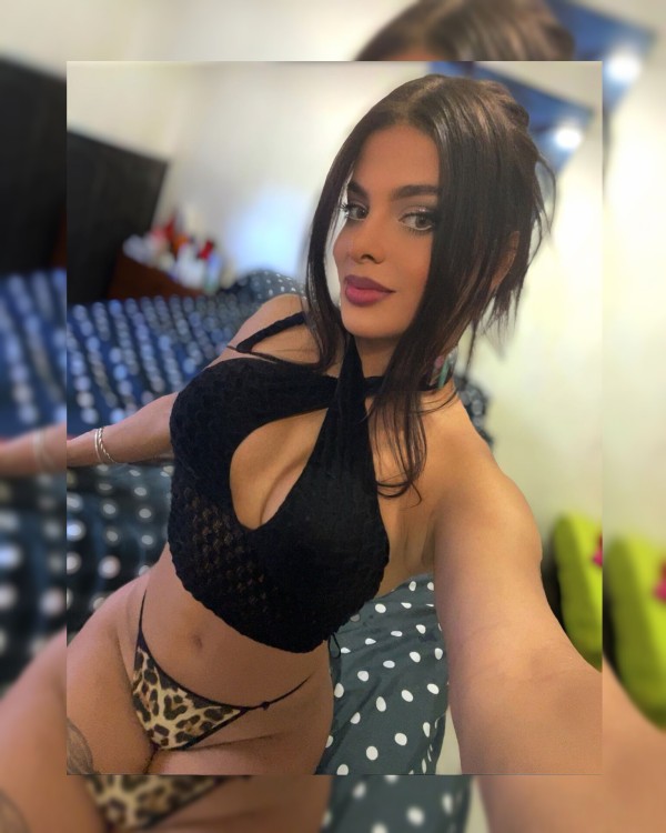 Novedad morena latina sexy