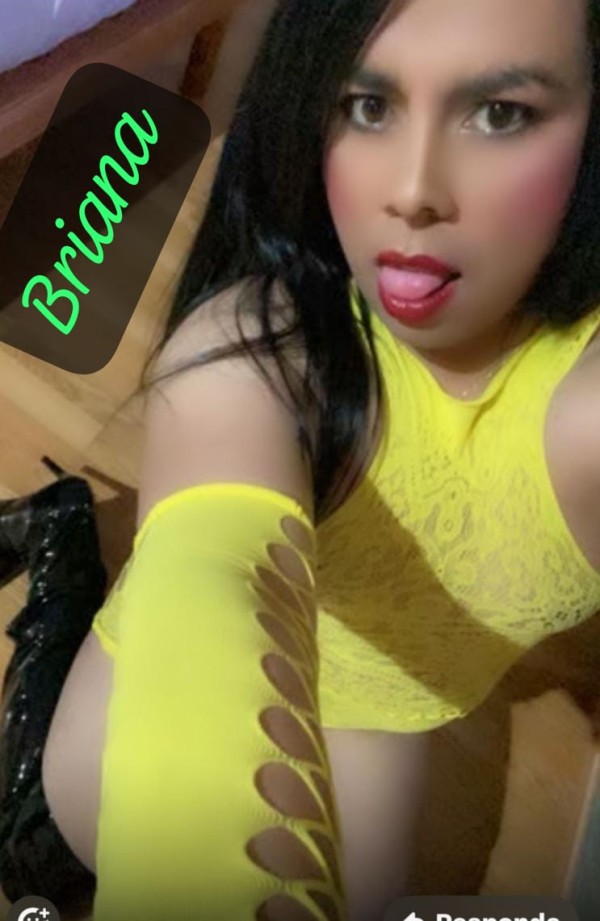 BRIANA CHIK TRANS SEXI COLOMBIANA COMPLACIENTE NOVEDAD PARA TI FOTOS REALES