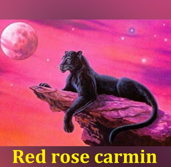 Tu relax en red rose carmin