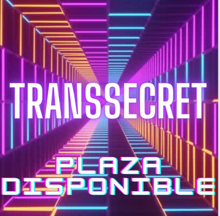 ¡¡¡PLAZA DISPONIBLE PARA CHICAS TRANS!!!