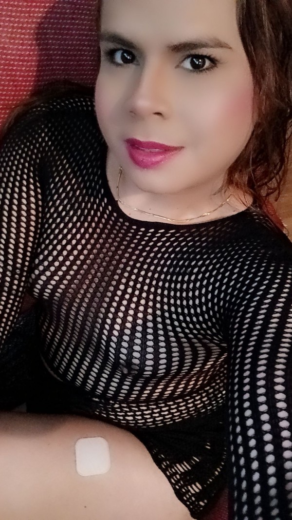 NOVEDAD TRANS LATINA EN PALENCIA