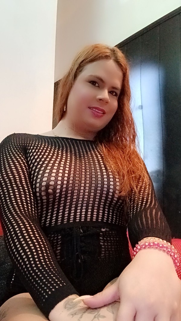 NOVEDAD TRANS LATINA EN PALENCIA