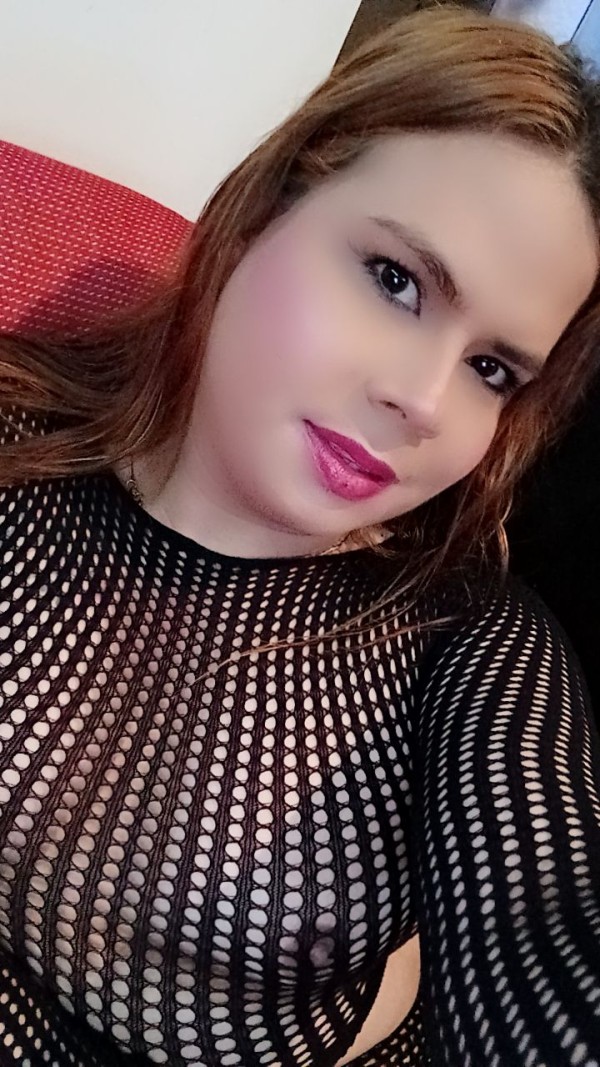 NOVEDAD TRANS LATINA EN PALENCIA