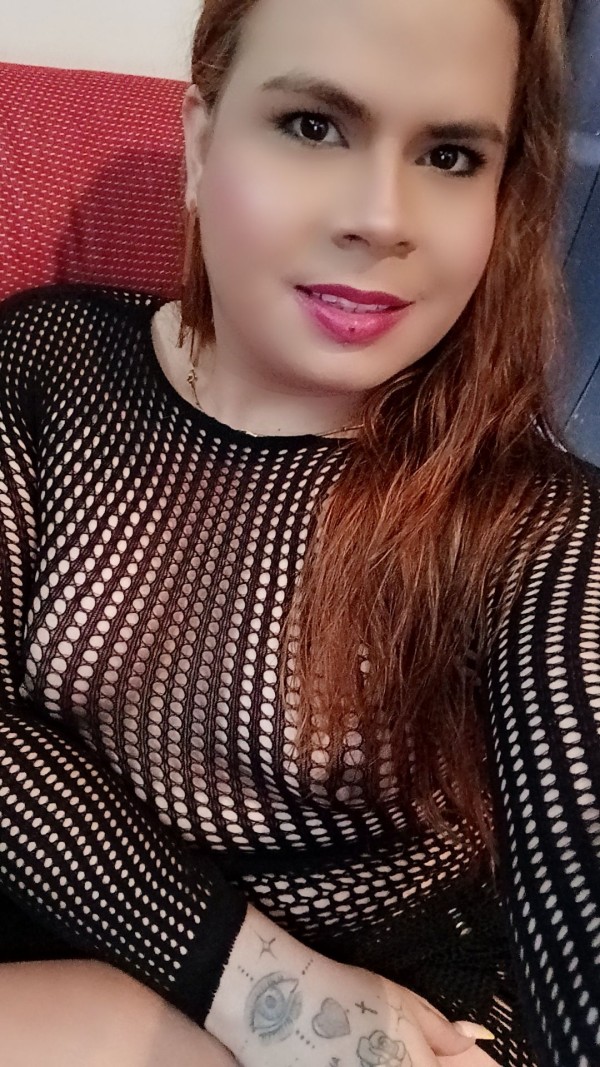 NOVEDAD TRANS LATINA EN PALENCIA