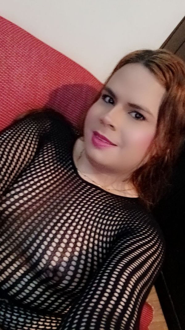 NOVEDAD TRANS LATINA EN PALENCIA