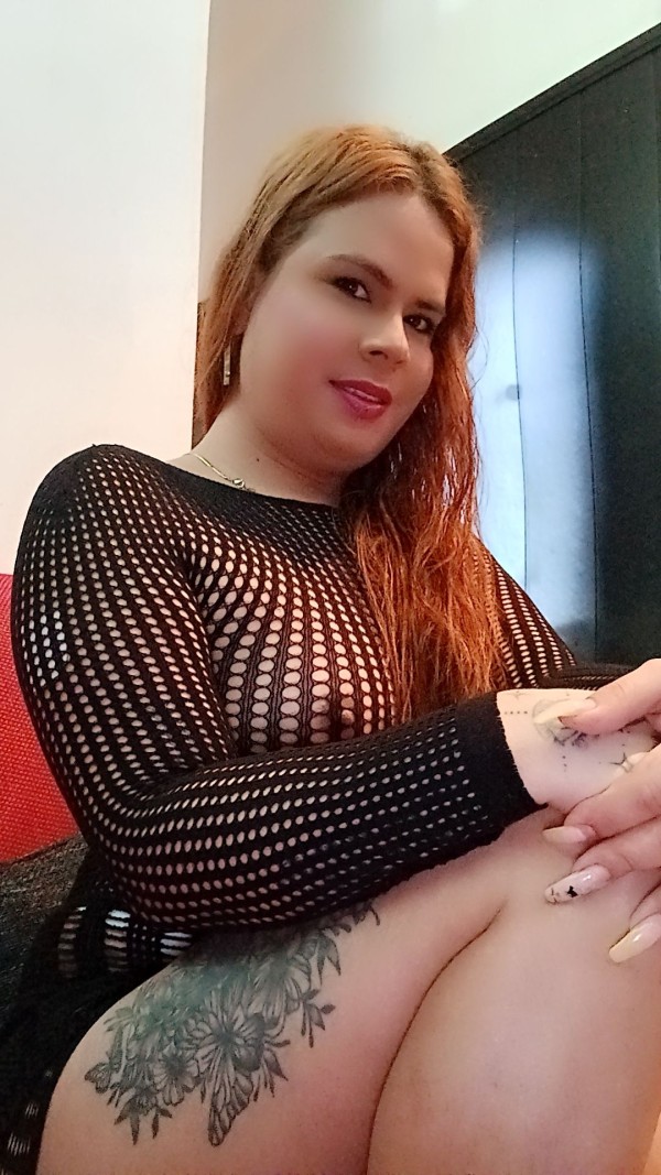 NOVEDAD TRANS LATINA EN PALENCIA