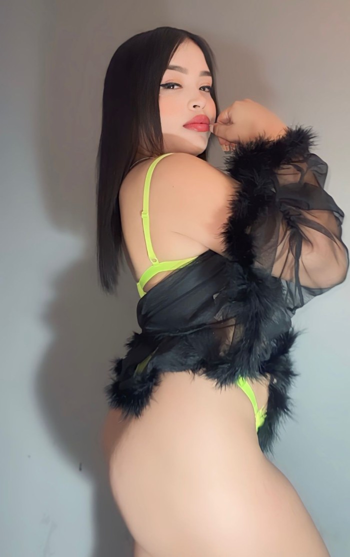 NOVEDAD ARDIENTES CHICAS ESCORT PARA ESCOGER 24 HO