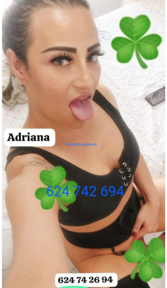 TRANS TRAVESTI CON EL CULO SUPER TRAGON VENGA