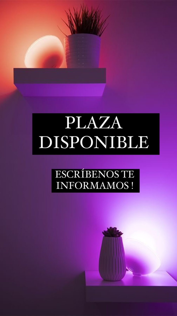 PLAZA DISPONIBLE VLC INGRESOS DIARIOS