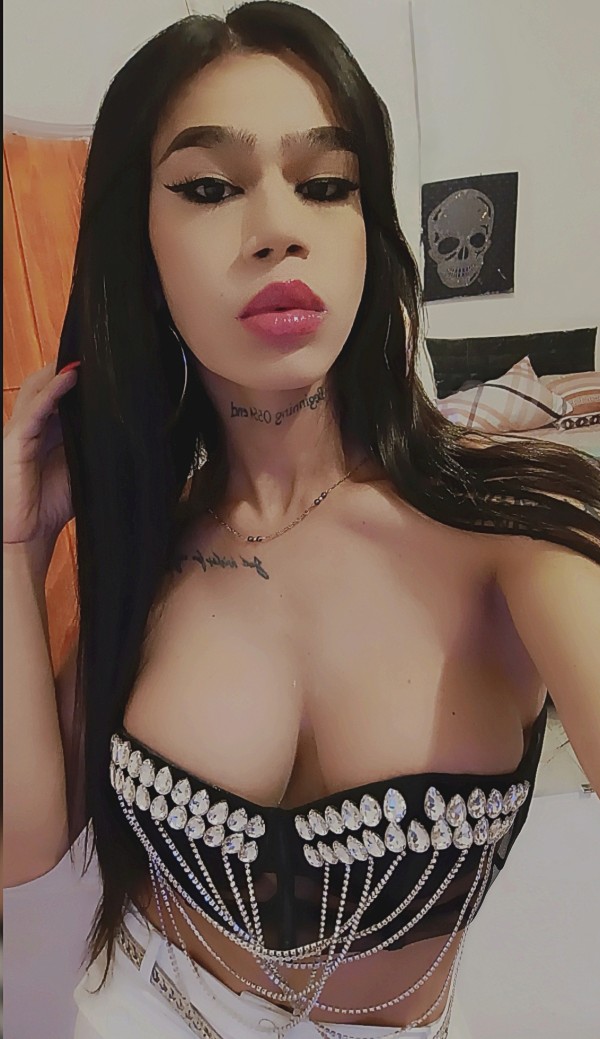 Activa, Bisex, Cañera, Lechera y Fiestera