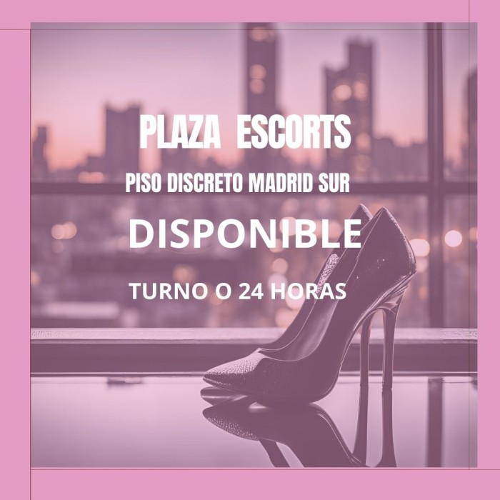 Disponible alto ingreso pago diario Madrid SUR