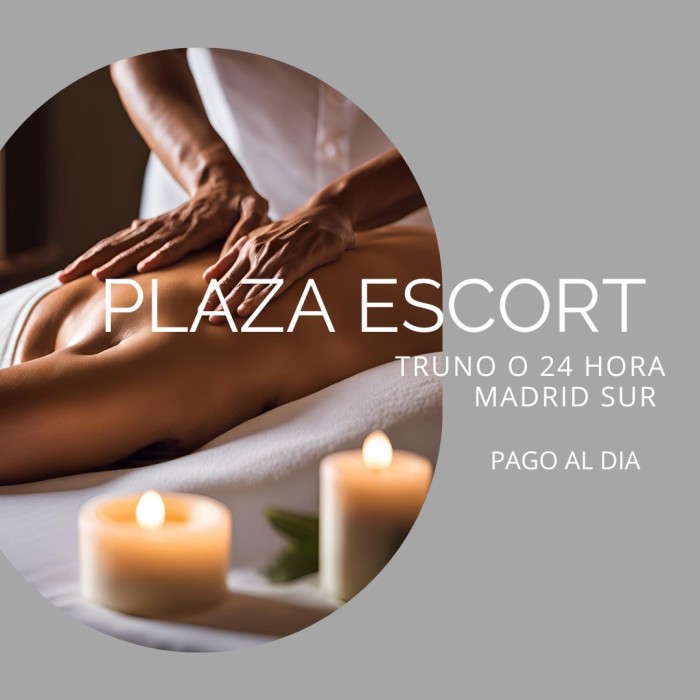 Plaza disponible Madrid sur pago al día 24 horas