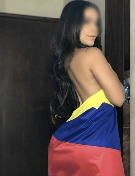 Novedad sofia latina