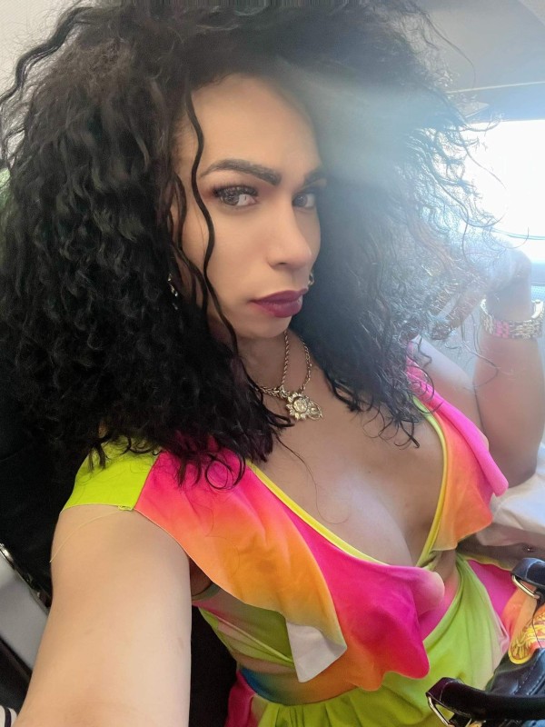 Trans latina