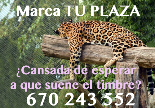 ULTIMAS PLAZAS!! — EN BARCELONA – Mucho trabajo