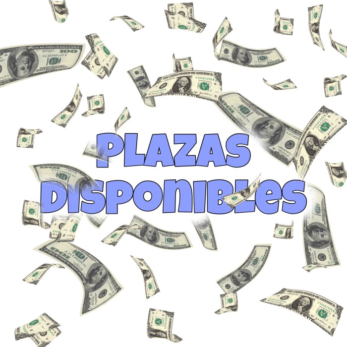 PLAZAS DISPONIBLES 24 HORAS, EXCELENTE AMBIENTE