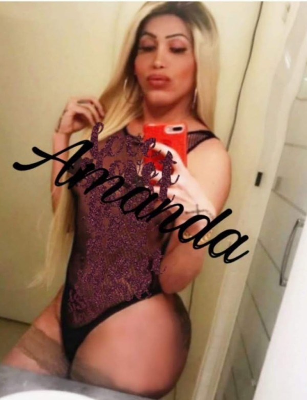 TRANS Amanda CULONA// OFERTA €  //ACTIVAZOS