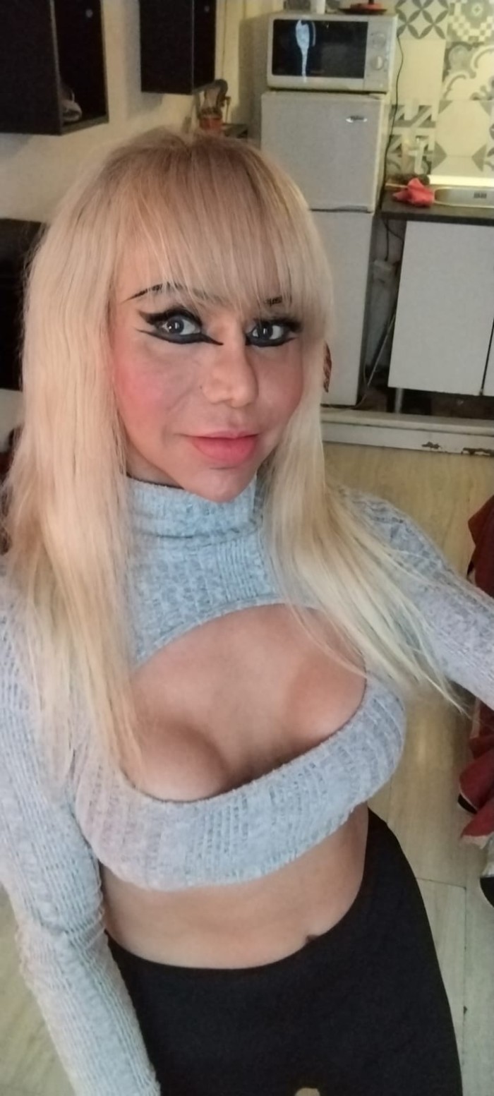 TRANS FEMENINA FOGOSA MUY LECHERA