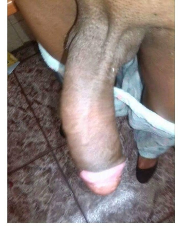 ** TRANS MUY BIEN DOTADA 23CM…..   REALES!!!