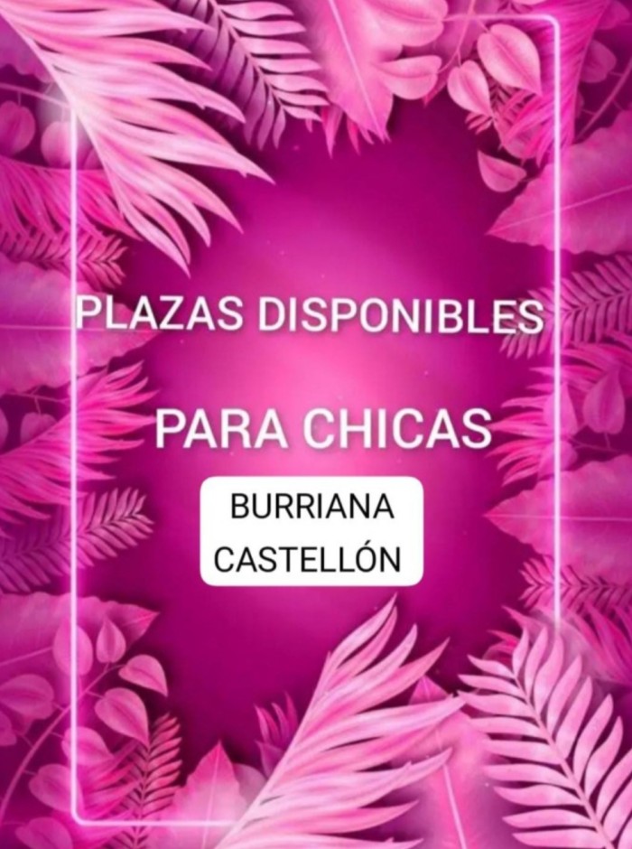 LA MEJOR PLAZA LIBRE EN BURRIANA, CASTELLÓN CLIENT