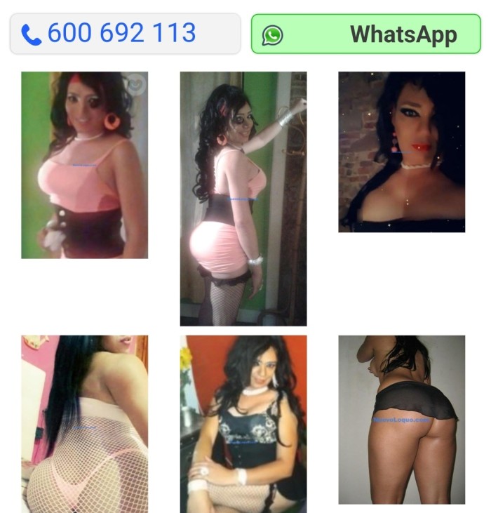 Activa Trans Wapa Colombiana 50 eur media hora con