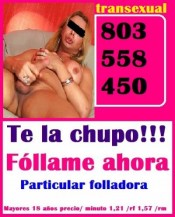 TRANSEXUAL POR WEBCAM, VIDEOCHAT EN DIRCTO LINEA X 803558450