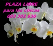 PLAZA LIBRE PARA LAS CHICAS!!!!