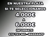 TRABAJA SIN COMPETENCIA Y SIN PASARELA. ALTOS INGRESOS. INFO