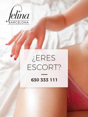 PLAZA PARA ESCORTS EN FELINA BARCELONA