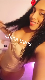 TU MEJOR COMPAÑÍA.. TRANS FIESTERA Y MORBOSA