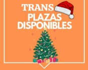 8 PLAZA TRANS  MURCIA BUENOS INGRESOS